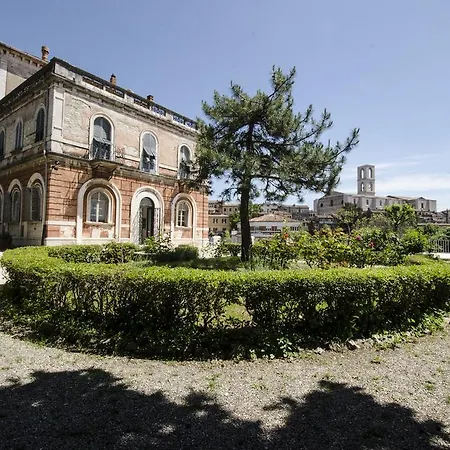 Iris Perugia